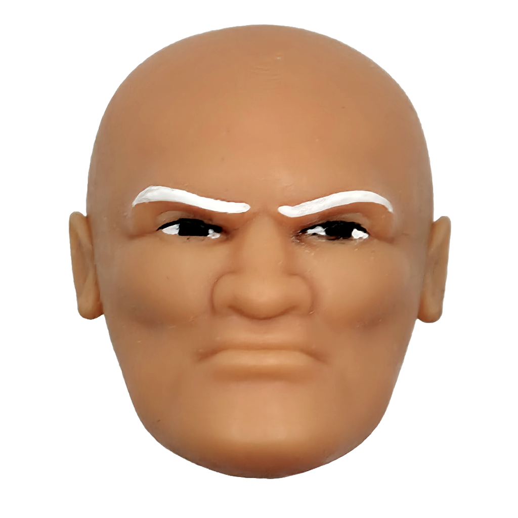 Elder Prime Head No Beard Painted || PRE-ORDER