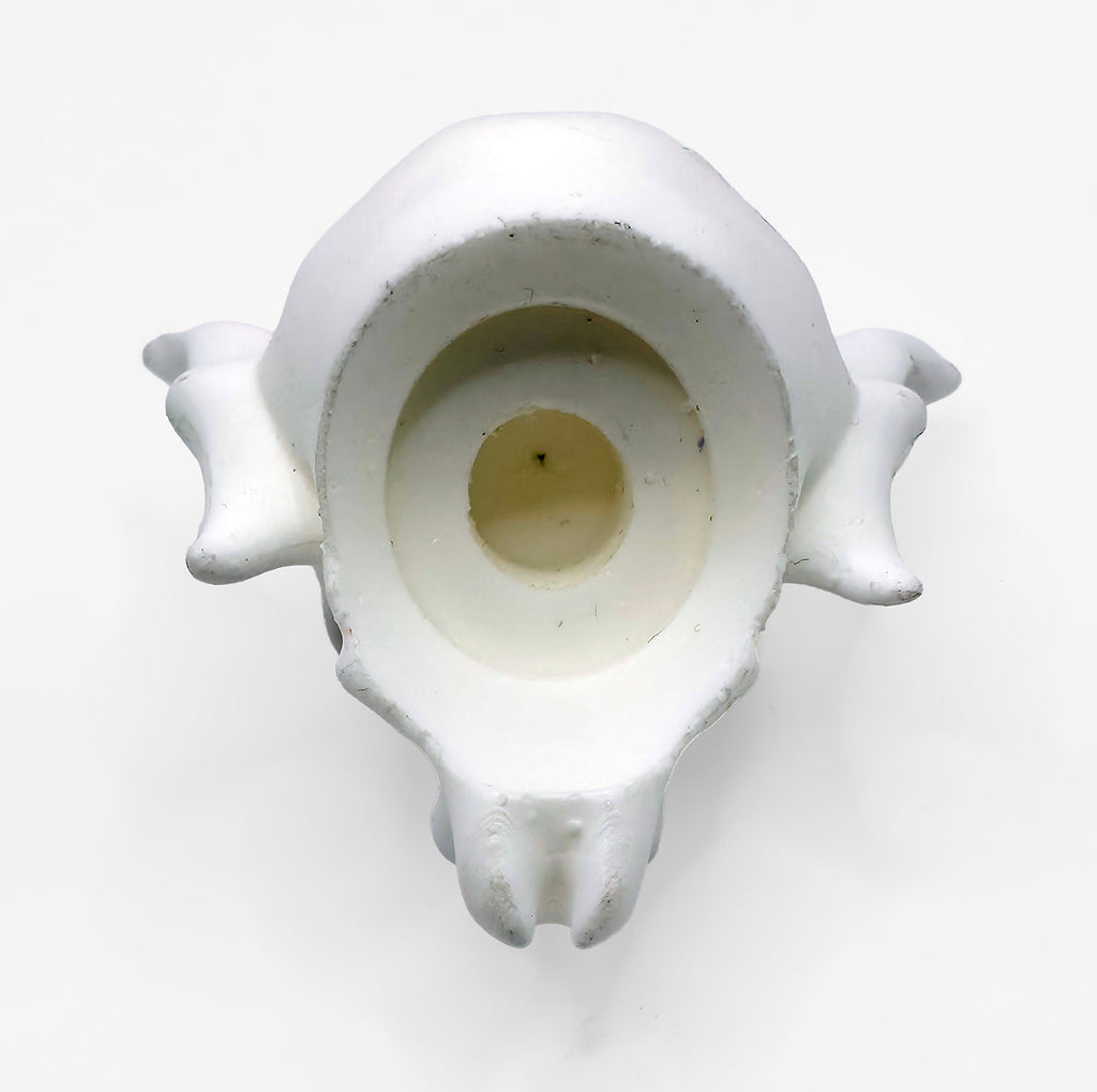 Horrid Overlord Painted Head || Cartoon White Variant Head || PRE-ORDER
